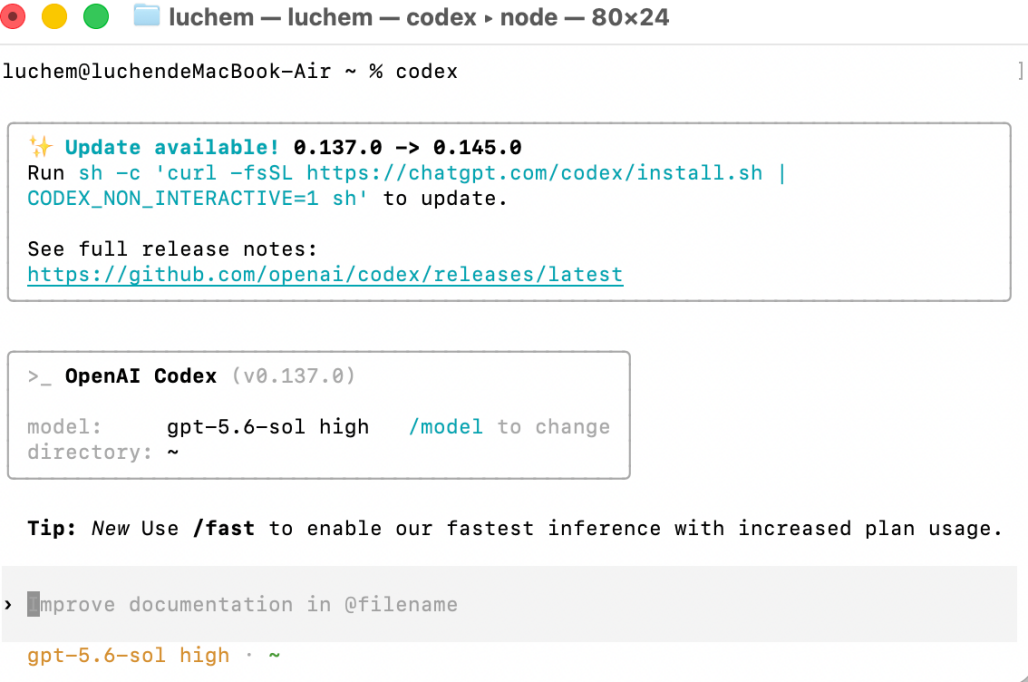 Codex CLI 启动页面
