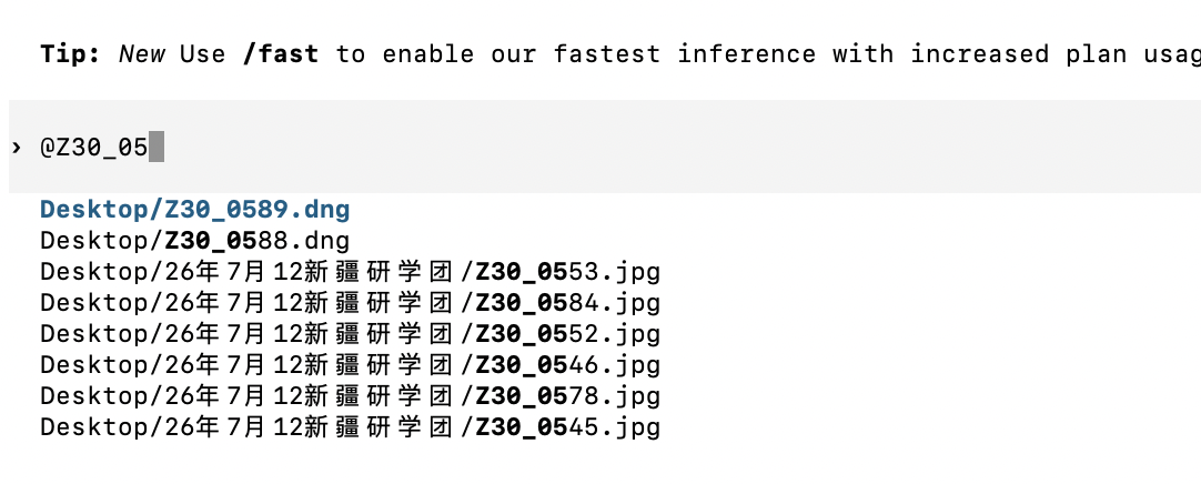 Codex CLI 使用 @ 搜索附件